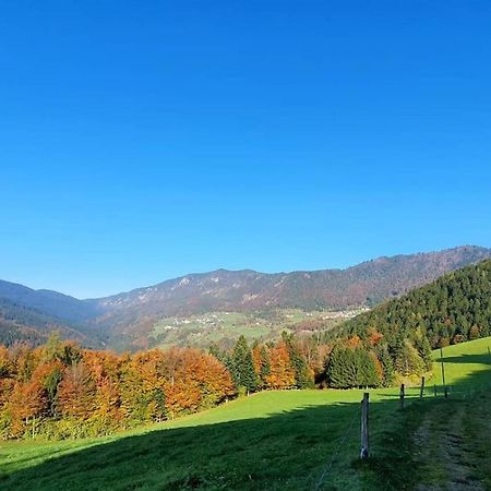 Вілла House Pucnk-Beautiful Countryside Железнікі Екстер'єр фото
