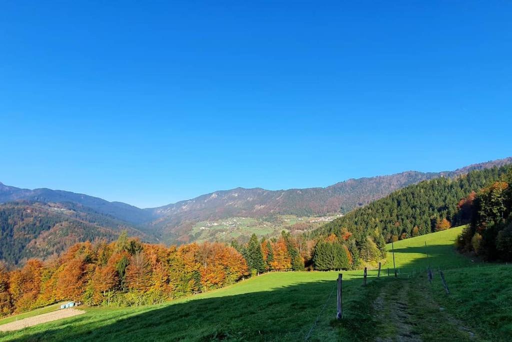 Вілла House Pucnk-Beautiful Countryside Железнікі Екстер'єр фото