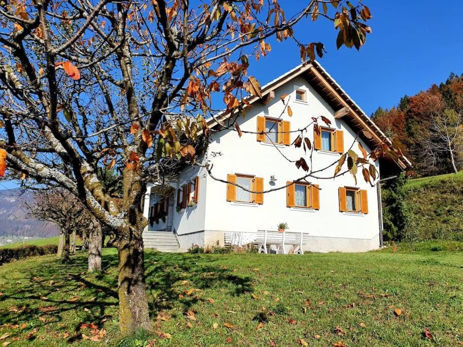 Вілла House Pucnk-Beautiful Countryside Железнікі Екстер'єр фото