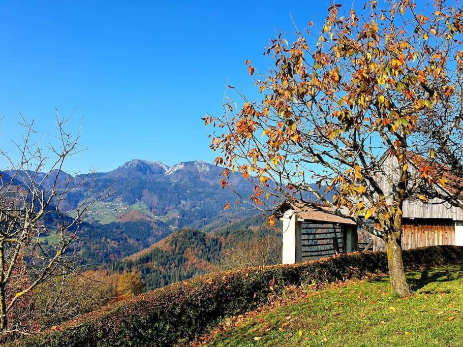 Вілла House Pucnk-Beautiful Countryside Железнікі Екстер'єр фото
